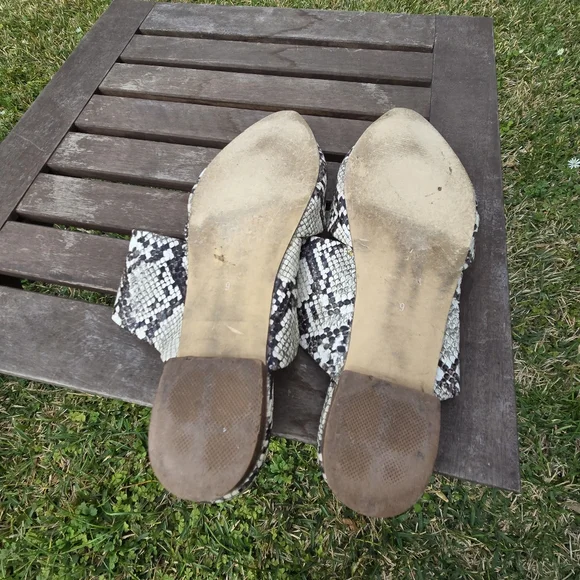 Coconuts by MATISSE Shay Snake Print Pointed Mules 9 - Picture 5 of 7